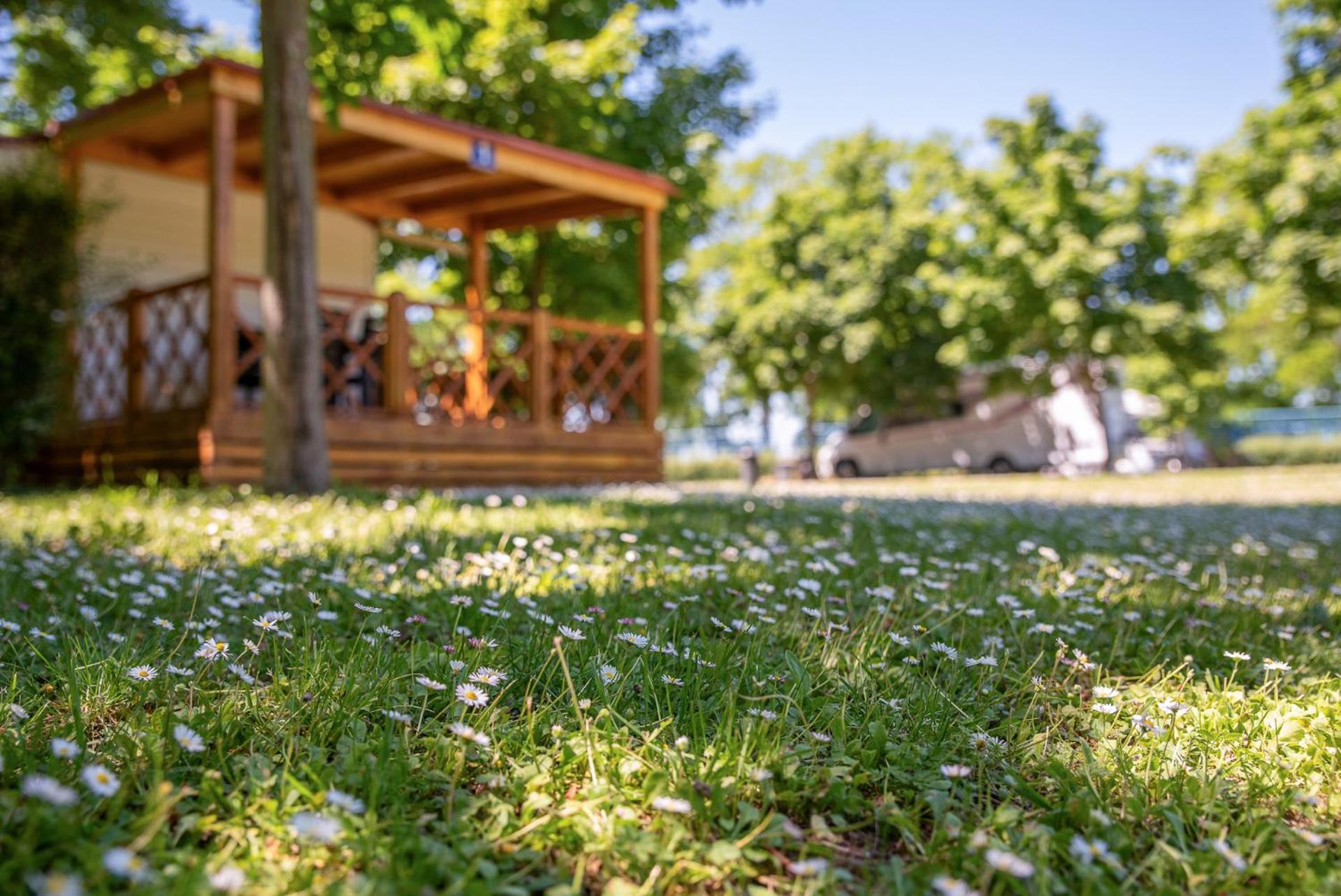 Hajdúszoboszló Hungarospa Thermal Camping Mobilhaz מראה חיצוני תמונה